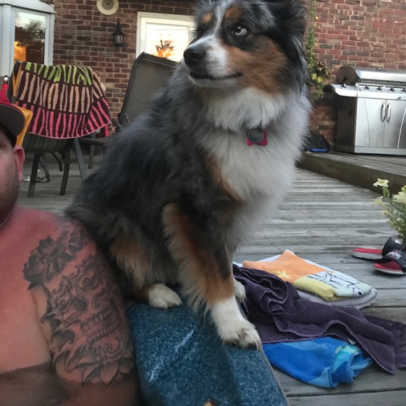 Meet your Posher, Danny - Picture 1 of 1